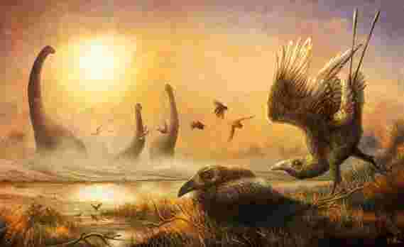 早鸟与镰刀状喙的高高揭示出恐龙时代的隐藏多样性