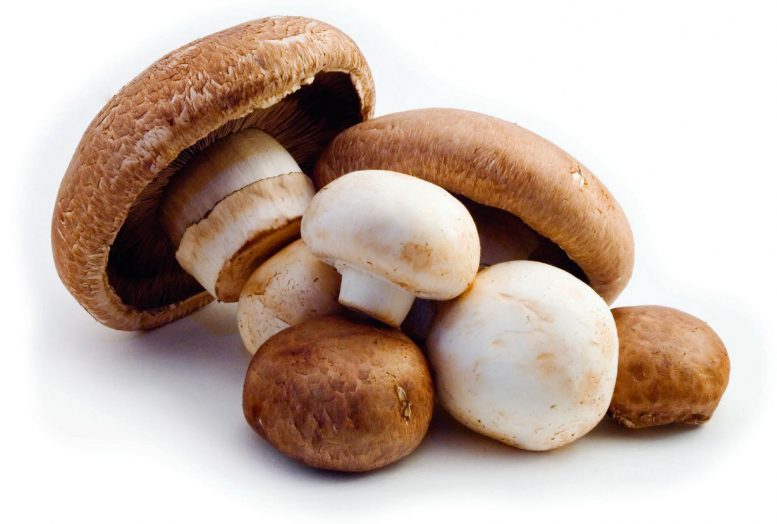 膳食更营养（微量营养素和短缺营养素）：只需添加蘑菇