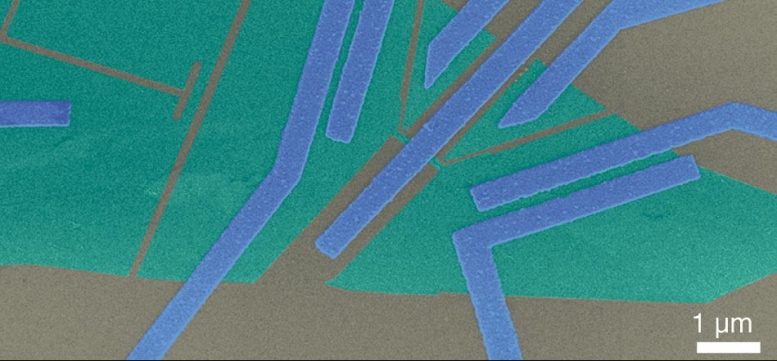 电子利用热的量子纠缠