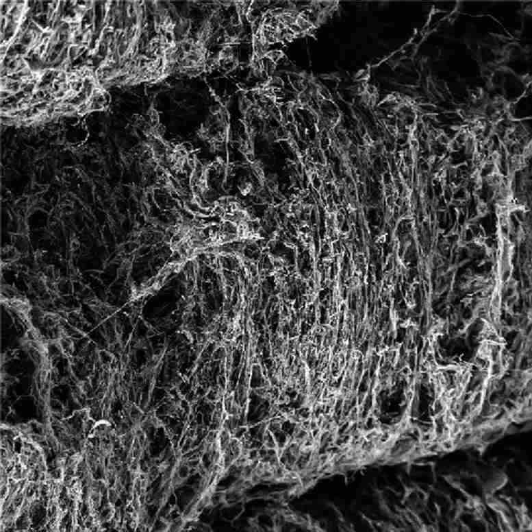 科学家使用细菌作为Micro-3D打印机来创建高度定制的结构