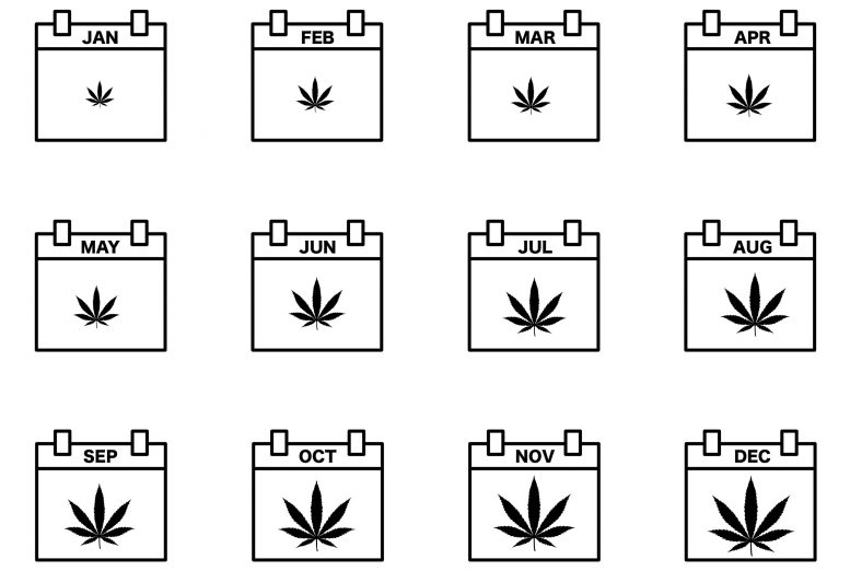 大麻的使用通常在每年年初下降，然后在夏季和秋季攀升