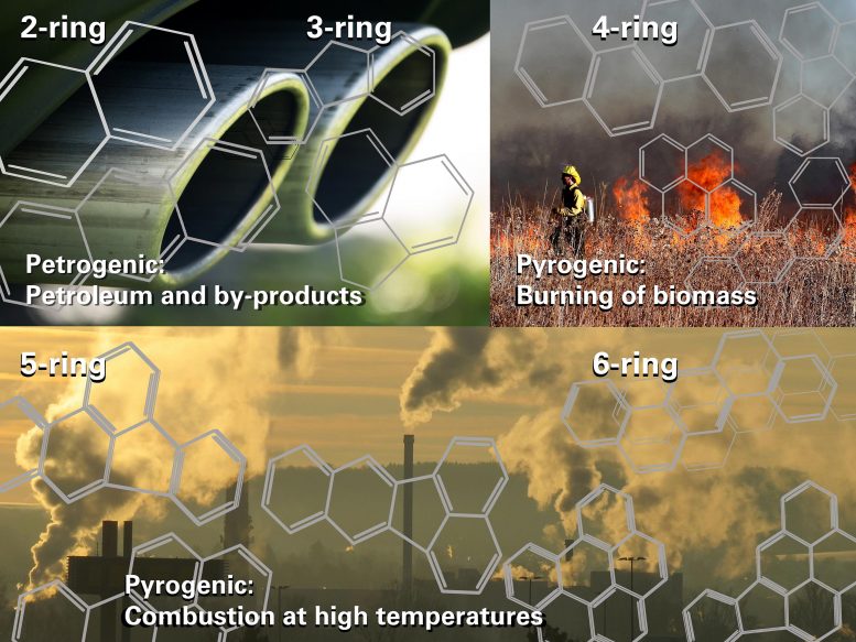化学家警告：来自化石燃料“乘以”在阳光下的有毒空气污染物