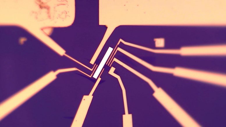 石墨烯诱导的人工“磁性纹理” –可能导致功能强大的量子计算机
