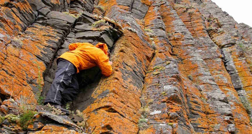 在二叠纪灭绝罪犯被定罪的火山活动