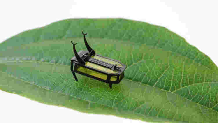 甲醇燃料给出这个微小的甲虫机器人漫步的自由