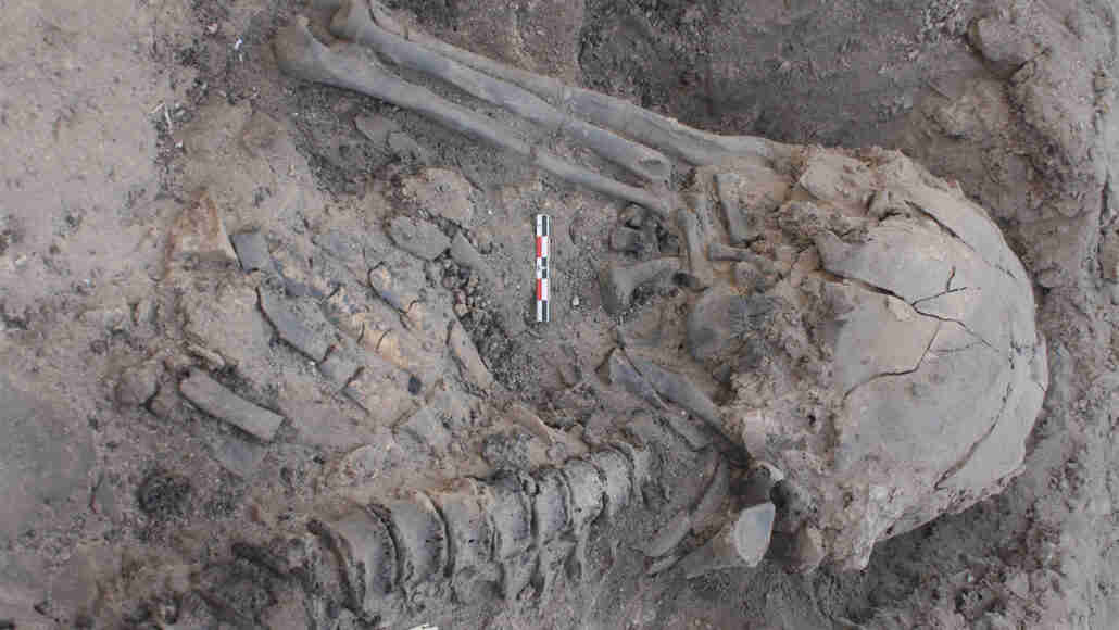 一个身体在车里烧了20,000年前发出的死亡看法