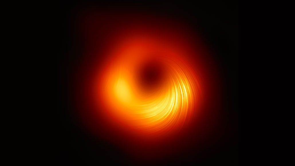 一个新的黑洞形象揭示了庞然大物的磁场