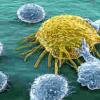 免疫肿瘤学药物开发将继续重塑制药业