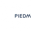 皮埃蒙特（Piedmont）完成了美国锂化工厂的预可行性研究