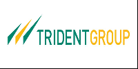 Trident生产不含化学纤维的毛巾