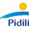 Pidilite Q3 21报告销售增长20％