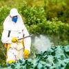 CCFI敦促环境部审查NGT关于使用农药的命令