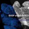 巴斯夫和Eramet合作建立镍钴精炼厂