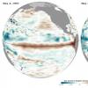 新的ScienceCast视频检查了厄尔尼诺现象正在发展的证据