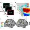 测量脑活动的新方法可能导致“思维读取”设备