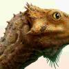 Aquilops Americanus  - 北美最古老的已知的角恐龙种类