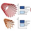 双壁碳纳米管显示奇异品质