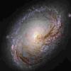 最新发布的螺旋星系Messier 96哈勃望远镜图片