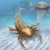 五旬节 - 史前海的巨型海洋蝎子