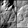 美国宇航局的黎明航天器揭示了矮行星谷星上地面冰的证据