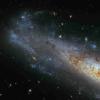本周的哈勃图像 - 螺旋星系NGC 1448