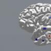 精确定时的脑刺激提高了学习和记忆性能