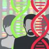 科学家揭示了基因的突变如何引起面对特异性的出生缺陷