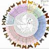 蝴蝶如何彼此相关的新综合地图