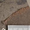 SMU研究表明，2200万年前全球变暖的二氧化碳联系