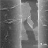 科学家通过整合碳纳米管来增强石墨烯的强度