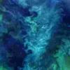 Landsat 8观看楚科奇海蓝色和绿色的醒目的图案