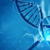 科学家发现失踪的多发性硬化基因