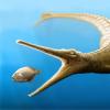 侏罗纪化石链接与海豚般的动物的古老鳄鱼
