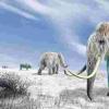 最后的猛犸象在一个偏僻的岛屿上死去，他们在其中避开了7,000年的孤立幸存下来