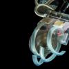 安全捕获新的超软机器人夹具水母[视频]