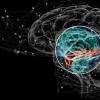 神经科学分子识别与精神分裂症相关的脑活动模式