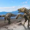 从日本有史以来最大的恐龙骨骼中鉴定出恐龙的新属和种