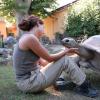 乌龟具有惊人的长期记忆力和极低估的智慧