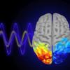 麻省理工学院神经科学家展示了用脑波控制注意力