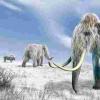 新证据支持的关于冰龄动物灭绝的有争议理论