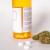 研究发现没有证据表明大麻有助于患者使用阿片类药物