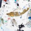 猎物大小的塑料入侵的幼体鱼苗圃–生物多样性和渔业生产受到威胁