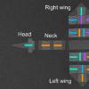 智能微管突破 - 微观的“鸟”襟翼使用纳米磁珠翅膀