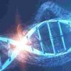 阐明遗传暗物质–发现人类“ DNA重复序列”