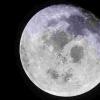 分析月球黑暗陨石坑中的挥发性化学物质