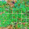 太空卫星引发的玻利维亚森林砍伐