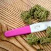 在新研究中发现怀孕期间大麻暴露的显着风险