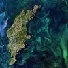 从太空看旋流的绿藻在波罗的海中绽放[视频]