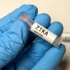 陆军开发的实验Zika疫苗诱导有效的交叉中和抗体