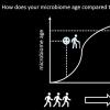 研究人员可以根据生活在您身体上的微生物准确估算您的年龄